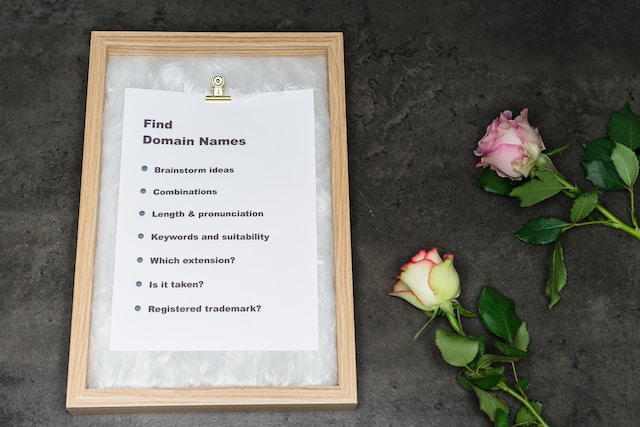 domain name checklist