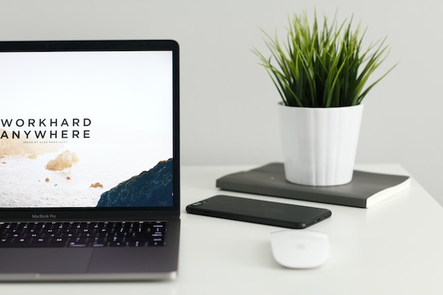 domain name tips
