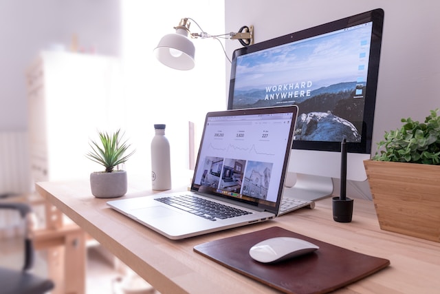 buy a starter niche website