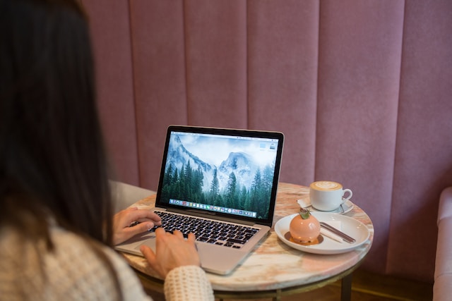 plugin options for niche content sites
