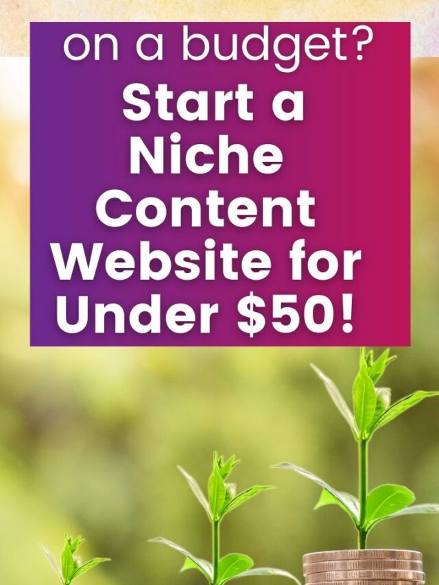 Start a Niche Content Site for Under $50!