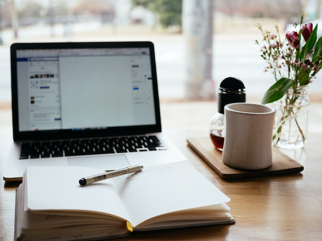 negotiate best price for niche website