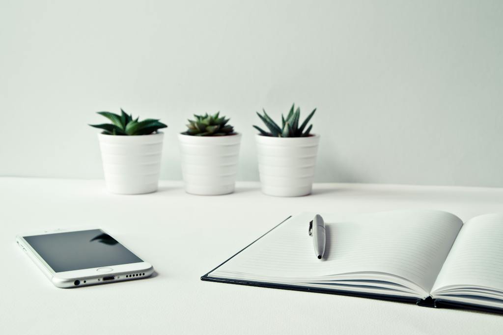 Three White Ceramic Pots With Green Leaf Plants Near Open Notebook With Click Pen on Top : crafting an SEO-Optimized about page